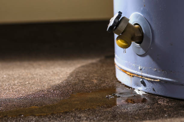 Best Water damage restoration mold remediation  in Lorenz Park, NY