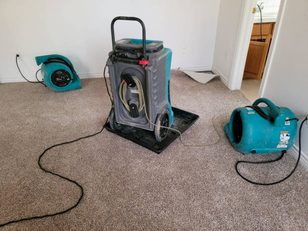  Lorenz Park, NY Water damage restoration Pros