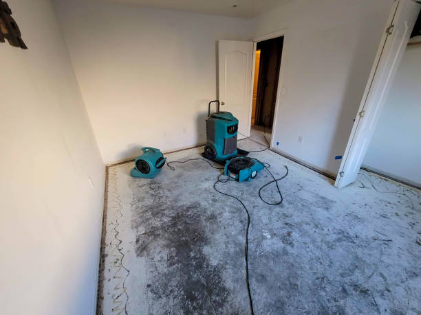 Best Carpet water damage restoration  in Lorenz Park, NY