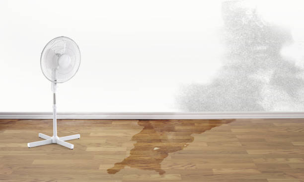 Reliable Lorenz Park, NY Water damage restoration Solutions