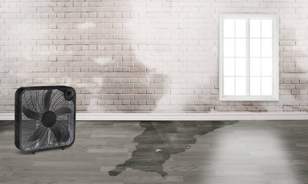 Best Flood restoration services  in Lorenz Park, NY