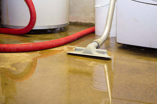 Best Commercial water damage restoration  in Lorenz Park, NY