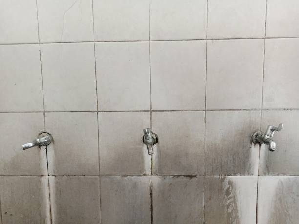 Best Water damage restoration near me  in Lorenz Park, NY