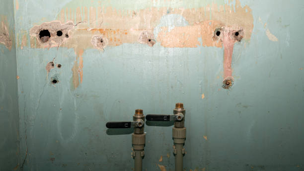 Best Professional water damage repair  in Lorenz Park, NY