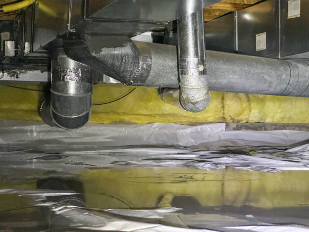 Best 24/7 water damage repair  in Lorenz Park, NY